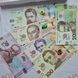 Колекційний набір 2022 року пам`ятних банкнот усіх номіналів (20, 50, 100, 200, 500, 1 000 грн) до 30-річчя незалежності України у конверті Н_30років_2022 фото 7